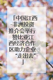 中国江西-非洲投资推介会举行 赞比亚江西经济合作区助力企业“走出去”