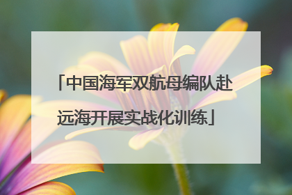 中国海军双航母编队赴远海开展实战化训练