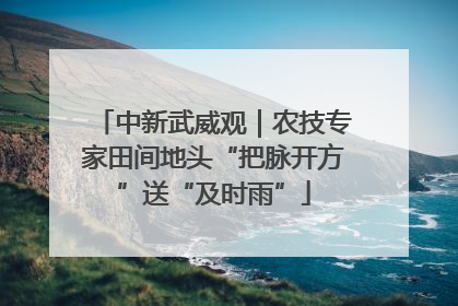 中新武威观｜农技专家田间地头“把脉开方”送“及时雨”