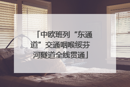中欧班列“东通道”交通咽喉绥芬河隧道全线贯通