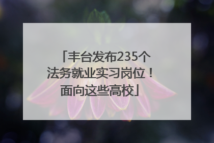 丰台发布235个法务就业实习岗位！面向这些高校