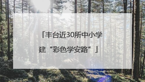 丰台近30所中小学建“彩色学安路”