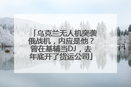 乌克兰无人机突袭俄战机，内应是他？曾在基辅当DJ，去年底开了货运公司