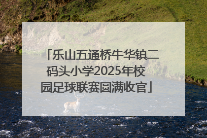 乐山五通桥牛华镇二码头小学2025年校园足球联赛圆满收官