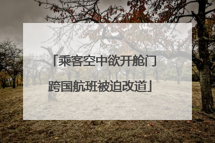 乘客空中欲开舱门 跨国航班被迫改道