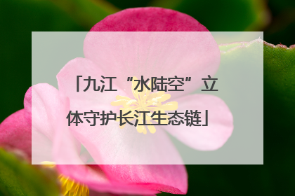 九江“水陆空”立体守护长江生态链