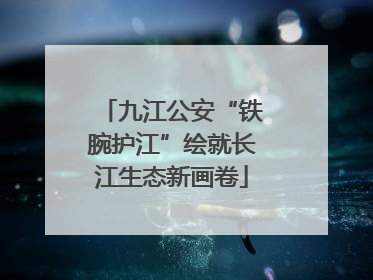九江公安“铁腕护江”绘就长江生态新画卷