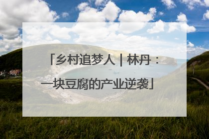 乡村追梦人｜林丹：一块豆腐的产业逆袭