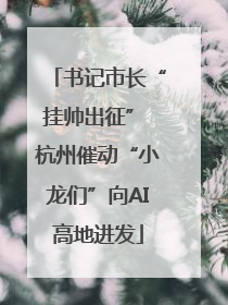 书记市长“挂帅出征” 杭州催动“小龙们”向AI高地进发