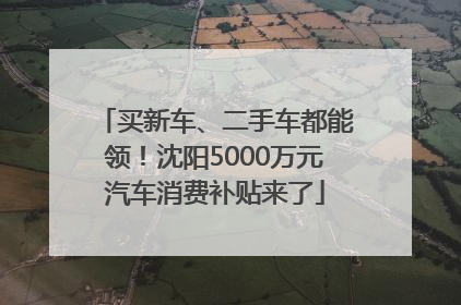 买新车、二手车都能领！沈阳5000万元汽车消费补贴来了