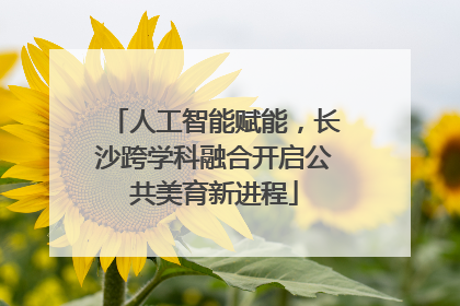人工智能赋能，长沙跨学科融合开启公共美育新进程