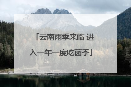 云南雨季来临 进入一年一度吃菌季