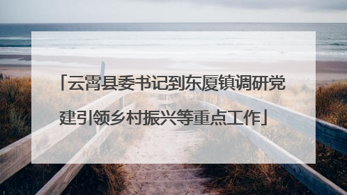 云霄县委书记到东厦镇调研党建引领乡村振兴等重点工作