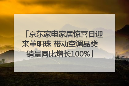 京东家电家居惊喜日迎来董明珠 带动空调品类销量同比增长100%