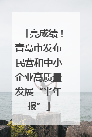亮成绩！青岛市发布民营和中小企业高质量发展“半年报”
