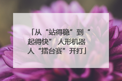 从“站得稳”到“起得快” 人形机器人“擂台赛”开打