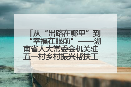 从“出路在哪里”到“幸福在眼前”——湖南省人大常委会机关驻五一村乡村振兴帮扶工作队书写振兴答卷