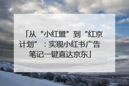 从“小红盟”到“红京计划”：实现小红书广告笔记一键直达京东