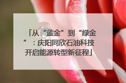 从“蓝金”到“绿金”：庆阳同欣石油科技开启能源转型新征程