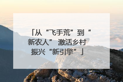 从“飞手荒”到“新农人” 激活乡村振兴“新引擎”