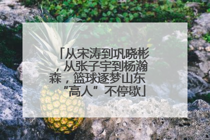 从宋涛到巩晓彬，从张子宇到杨瀚森，篮球逐梦山东“高人”不停歇