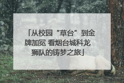 从校园“草台”到金牌加冕 看烟台城科龙狮队的铸梦之旅