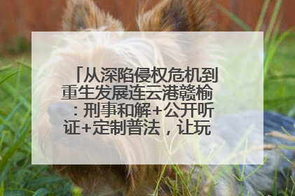 从深陷侵权危机到重生发展连云港赣榆：刑事和解+公开听证+定制普法，让玩具公司回到正轨