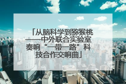 从脑科学到猕猴桃——中外联合实验室奏响“一带一路”科技合作交响曲
