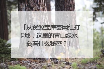从资源宝库变网红打卡地，这里的青山绿水藏着什么秘密？