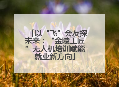 以“飞”会友探未来：“金陵工匠”无人机培训赋能就业新方向