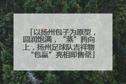 以扬州包子为原型，圆润饱满，“蒸”腾向上，扬州足球队吉祥物“包赢”亮相即售罄