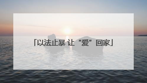 以法止暴 让“爱”回家