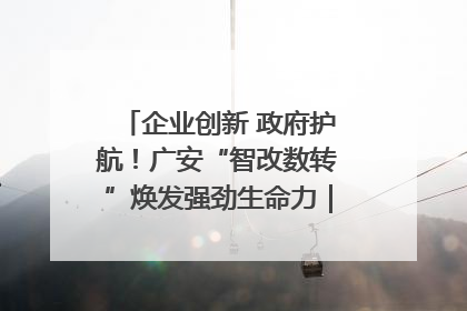 企业创新 政府护航！广安“智改数转”焕发强劲生命力｜市州焕新力