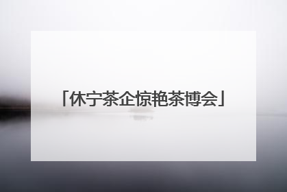 休宁茶企惊艳茶博会