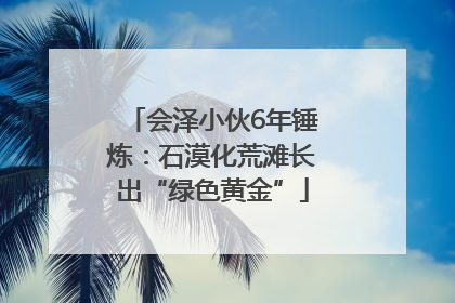 会泽小伙6年锤炼：石漠化荒滩长出“绿色黄金”