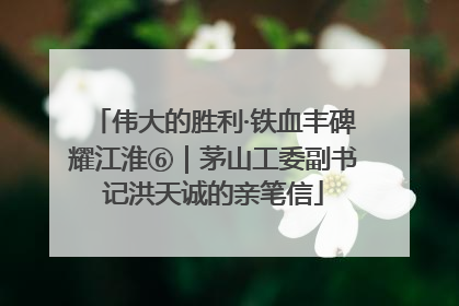 伟大的胜利·铁血丰碑耀江淮⑥｜茅山工委副书记洪天诚的亲笔信