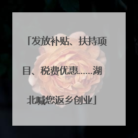 发放补贴、扶持项目、税费优惠……湖北喊您返乡创业