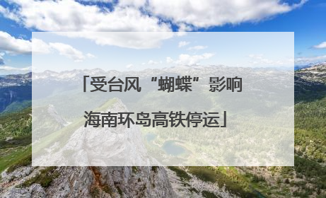 受台风“蝴蝶”影响 海南环岛高铁停运