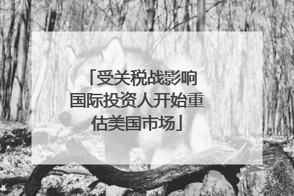 受关税战影响 国际投资人开始重估美国市场
