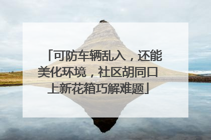 可防车辆乱入，还能美化环境，社区胡同口上新花箱巧解难题