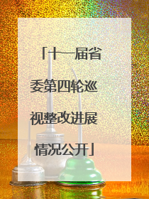 十一届省委第四轮巡视整改进展情况公开