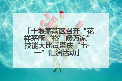 十堰茅箭区召开“花样茅箭‘格’暖万家”技能大比武暨庆“七·一”汇演活动