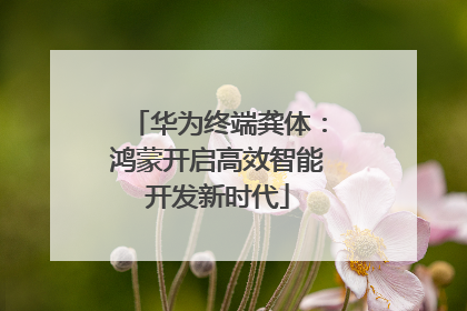 华为终端龚体：鸿蒙开启高效智能开发新时代