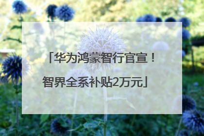 华为鸿蒙智行官宣！智界全系补贴2万元