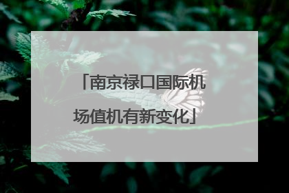 南京禄口国际机场值机有新变化