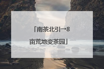 南茶北引→8亩荒地变茶园