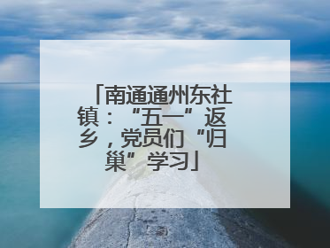 南通通州东社镇：“五一”返乡，党员们“归巢”学习