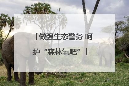 做强生态警务 呵护“森林氧吧”