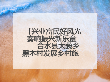 兴业富民好风光 奏响振兴新乐章——合水县太莪乡黑木村发展乡村旅游纪实