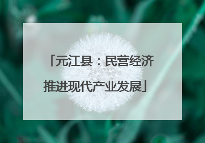 元江县：民营经济推进现代产业发展